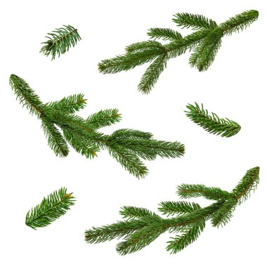 Noel ağacı dalları Noel süsü olarak dizilmiş. Dallar tıkanır