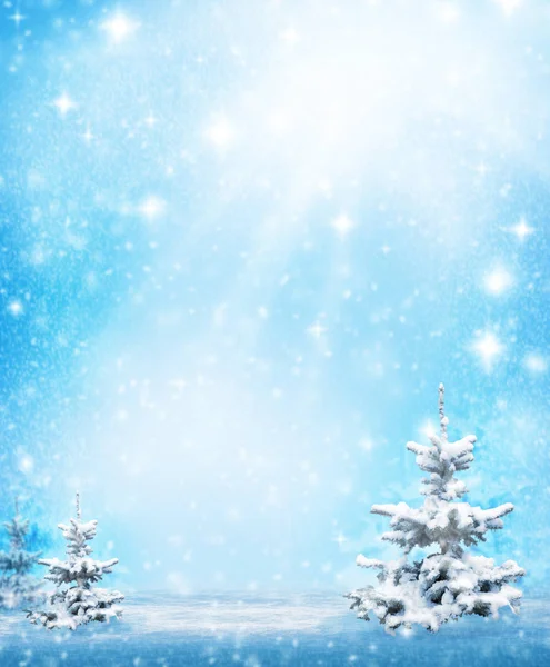 Vinterjullandskap. Blå tall grenar under vintern — Stockfoto