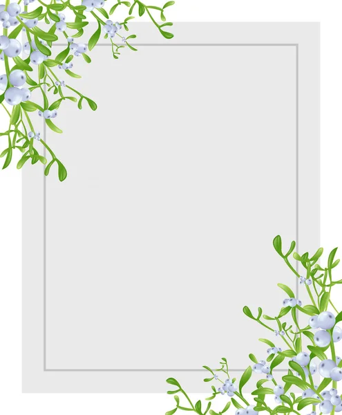 Зимовий фон межа з гілками Mistletoe з зеленим листям — стокове фото