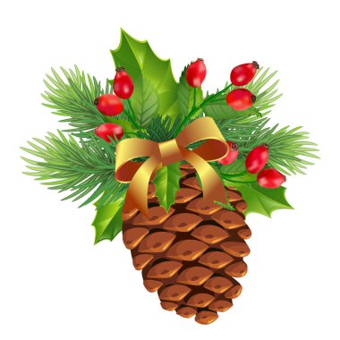 Firavun dalları kozalaklı kozalaklar yapraklı kutsal meyveler.