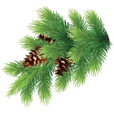 Noel ağacı ve kozalaklı çam dalı. Noel dekoru. Natura.