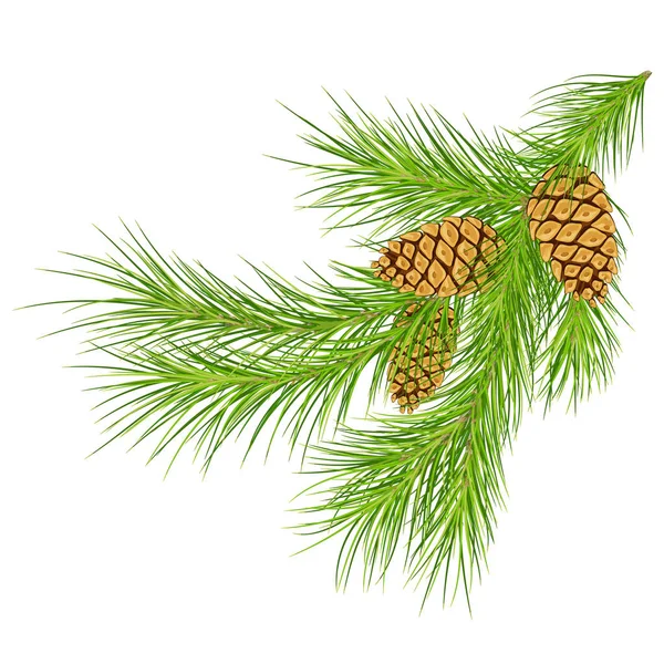 God jul naturlig gränsdesign med kopieringsutrymme. Rödbetor — Stockfoto