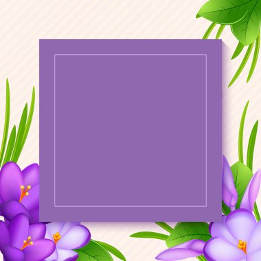 Tebrik kartı olarak Crocus çiçekleri. Menekşe renkli buket mi yoksa... 