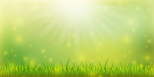 Modello di banner primavera con erba su sfondo colorato. Carta — Vettoriale Stock