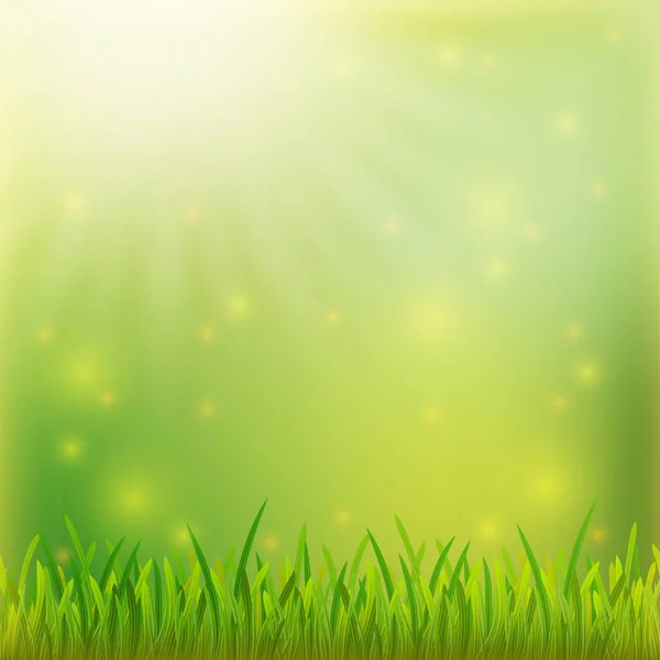 La primavera sta arrivando. Sfondo verde erba. alba natura morbida ba — Vettoriale Stock