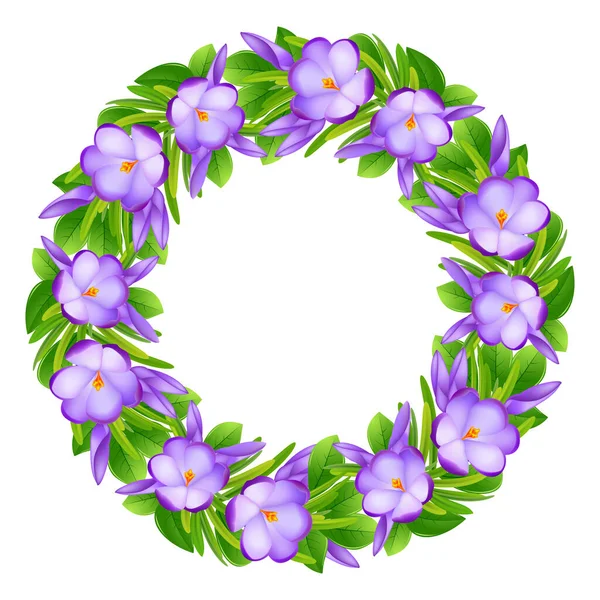 Crocus Wreath Composition Isolated Violet Flowers Green Leaves White Background — Zdjęcie stockowe