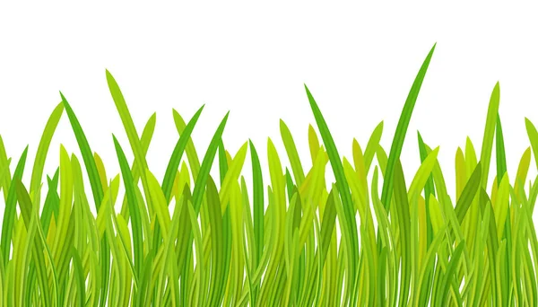 Meadow Spring Summer Season Realistic Seamless Green Grass Border Frame — Stock Photo, Image
