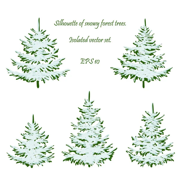 Snow Covered Spruce Set Forest Trees Isolated White Background Collection — Stock Vector