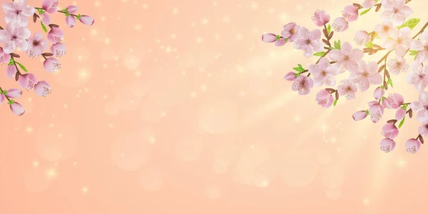 光彩夺目的浅粉色藏红花 现实的樱花 纹理壁纸邀请卡的背景 — 图库照片