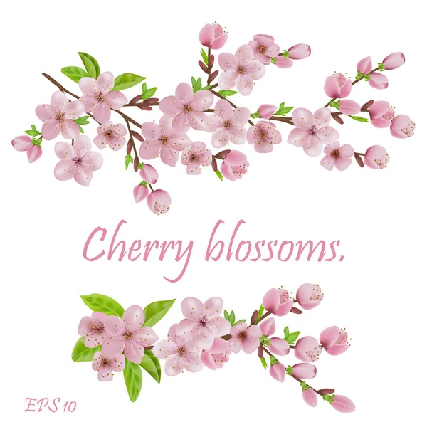 Blühen Sakura Kirschblüten Für Orientalische Ivite Flyer Schönheitsangebot Hochzeit Brautdusche — Stockvektor