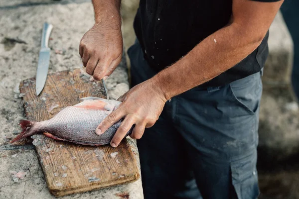 Professional island fisherman preparing / cleaning gilthead sea bream.Fishing for living.Local fish market.Fresh seafood.Expensive catch.Healthy mediterranean diet.Sustainable fishing.Farming
