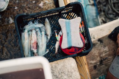 Mürekkep balığı yakalayan profesyonel balıkçı. Balık yemi. Yaşam için balık avı. Yerel balık pazarı. Taze deniz ürünleri. Sağlıklı Akdeniz diyeti.