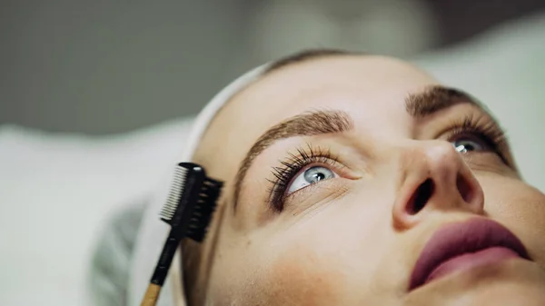 Microblading eyebrows workflow in a beauty salon.Woman having brows tinted by beautician,cosmetic procedure for the eyebrow treatment.Permanent make-up by cosmetic professional
