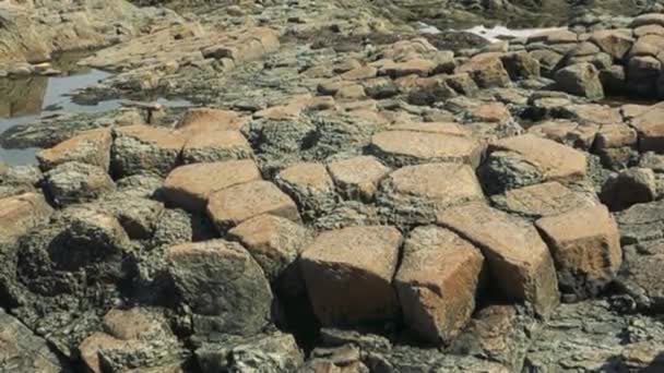 Cape Stolbchaty île de Kunashir — Video