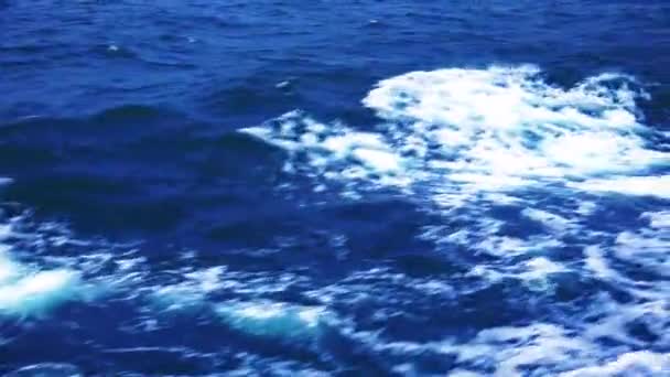 Die Küste der Insel iturup — Stockvideo