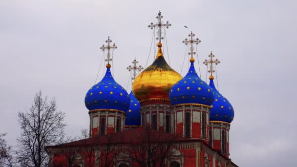 Древний Кремль в Рязани — стоковое видео