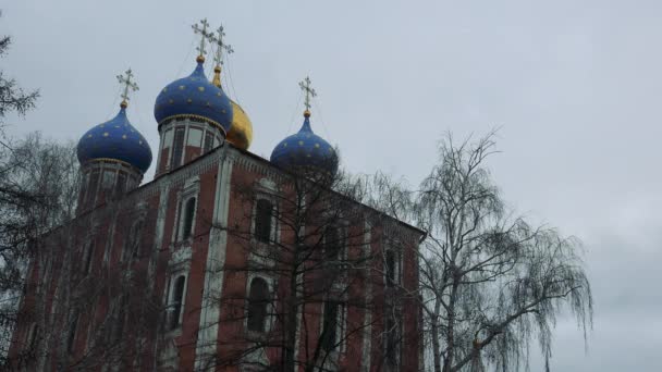 Ancient Kremlin in Ryazan — Stock Video