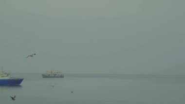 gemi Kunashir Adası'nda