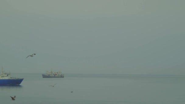 Schiffe auf der Insel Kunaschir — Stockvideo
