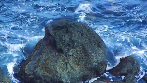 国后岛的岩石 — 图库视频影像