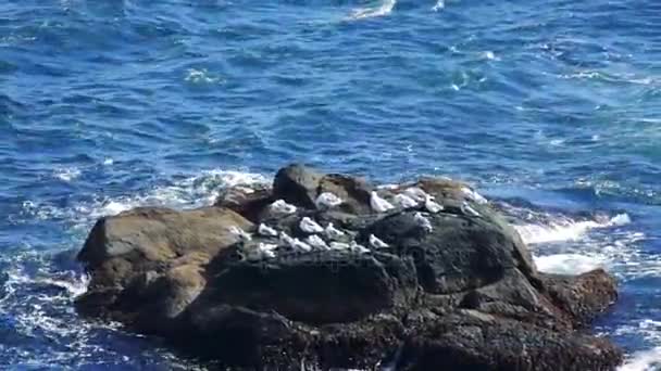 La mer au large de l'île de Kunashir — Video