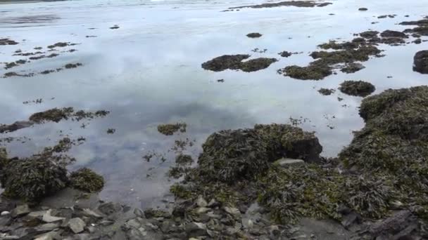 O mar ao largo da ilha de Kunashir — Vídeo de Stock