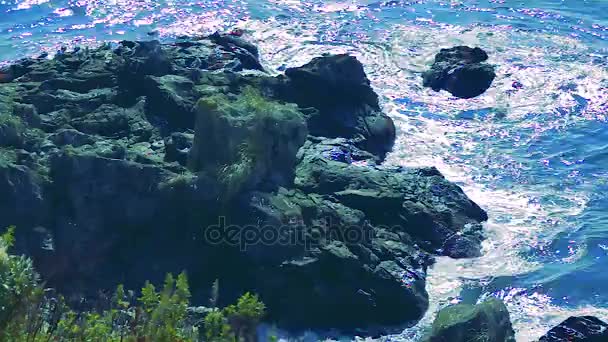 Il mare al largo dell'isola di Kunashir — Video Stock