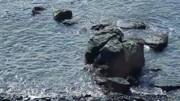 Costa de la isla Kunashir . — Vídeos de Stock