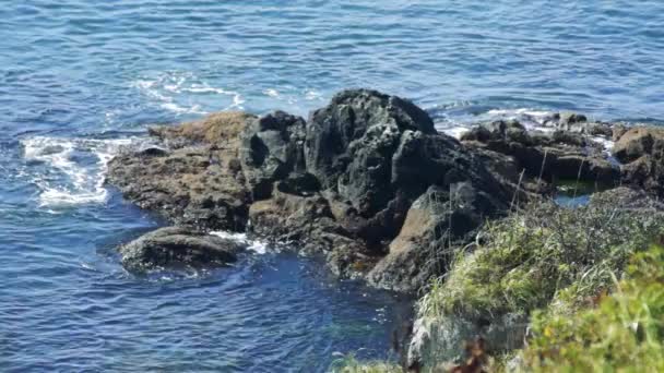 Côte de l'île de Kunashir . — Video