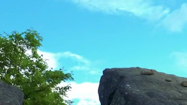 Sahalin dağ kurbağa