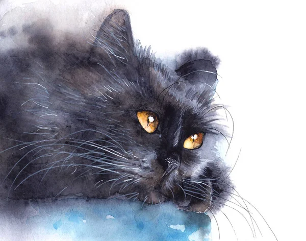 Aquarelle Chat Moelleux Noir Avec Des Yeux Jaunes Sur Fond — Photo