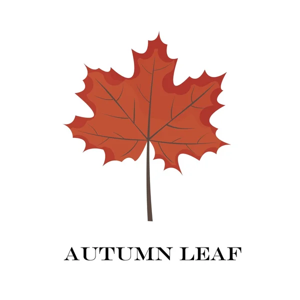 Hojas de otoño aisladas sobre fondo blanco. simple estilo plano de dibujos animados, ilustración vectorial . — Archivo Imágenes Vectoriales