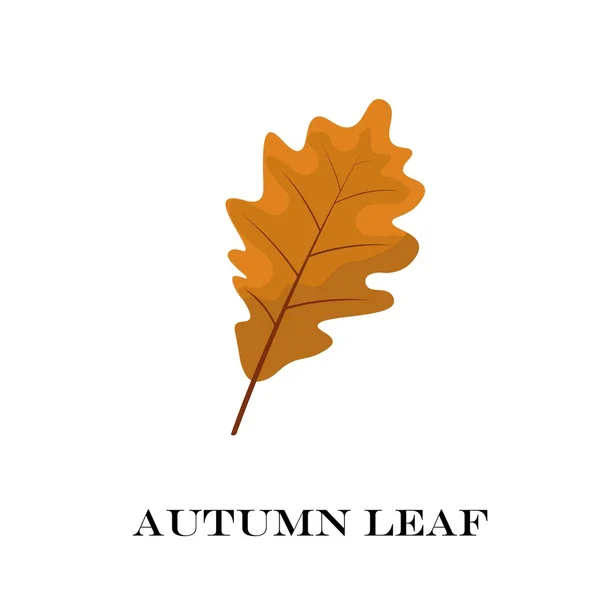 Hojas de otoño aisladas sobre fondo blanco. simple estilo plano de dibujos animados, ilustración vectorial . — Archivo Imágenes Vectoriales