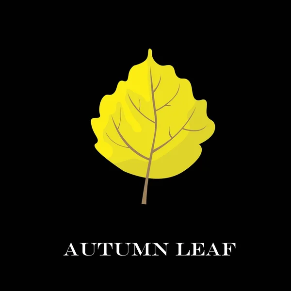 Autumn leaves isolated on black background. simple cartoon flat style, vector illustration. — Stock Vector