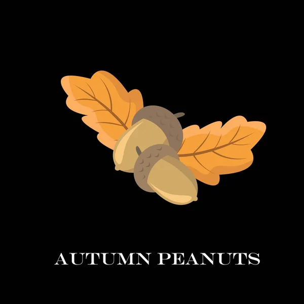 黒い背景に秋のピーナッツ。ベクトル図. — ストックベクタ