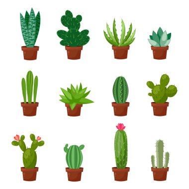 Çöl ayarlamak veya yeşil kaktüs Oda. Düz ve karikatür tarzı. Beyaz arka plan üzerinde vektör çizim. Tasarımınız için öğe.