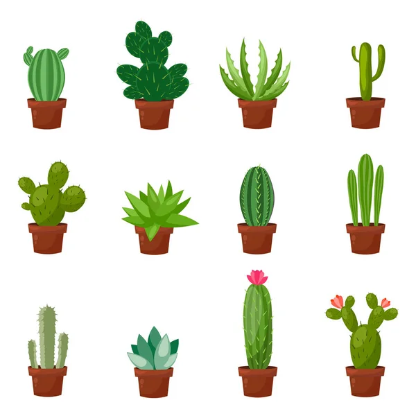 Conjunto de cactus desérticos o de habitación verde. Estilo plano y de dibujos animados. Ilustración vectorial sobre fondo blanco. Elemento para su diseño . — Vector de stock