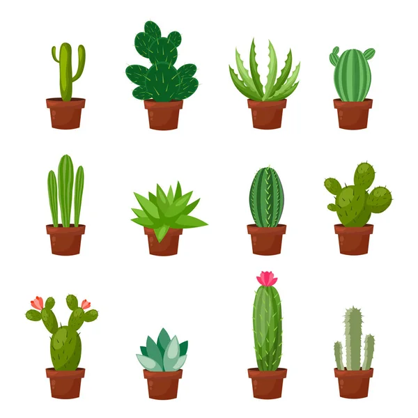 Conjunto de cactus desérticos o de habitación verde. Estilo plano y de dibujos animados. Ilustración vectorial sobre fondo blanco. Elemento para su diseño . — Vector de stock