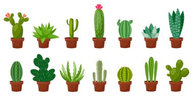 Yatay banner çöl, Oda yeşil kaktüs ayarlayın. Düz, karikatür tarzı. Vektör çizim beyaz arka plan. Öğe tasarım.