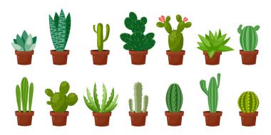 Yatay banner çöl, Oda yeşil kaktüs ayarlayın. Düz, karikatür tarzı. Vektör çizim beyaz arka plan. Öğe tasarım.