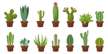 Yatay banner çöl, Oda yeşil kaktüs ayarlayın. Düz, karikatür tarzı. Vektör çizim beyaz arka plan. Öğe tasarım.