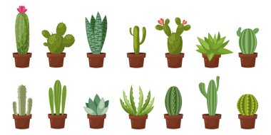 Yatay banner çöl, Oda yeşil kaktüs ayarlayın. Düz, karikatür tarzı. Vektör çizim beyaz arka plan. Öğe tasarım.