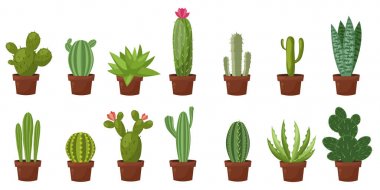 Yatay banner çöl, Oda yeşil kaktüs ayarlayın. Düz, karikatür tarzı. Vektör çizim beyaz arka plan. Öğe tasarım.