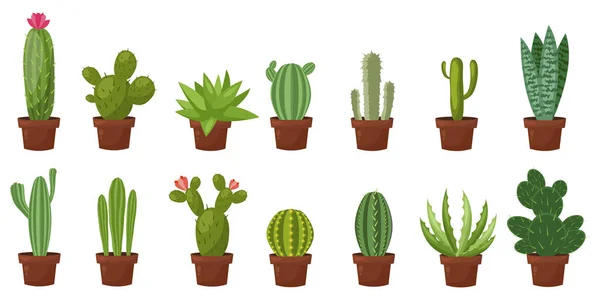 Horizontale banner set woestijn, kamer groene cactus. Flat, cartoon stijl. Vector illustratie witte achtergrond. Element ontwerp. — Stockvector