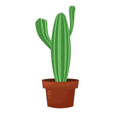 Yeşil kaktüs tenceresi, ev bahçesi botanik bitkisi, kaktüs süsü.