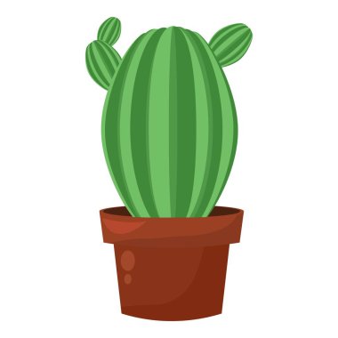 Yeşil kaktüs tenceresi, ev bahçesi botanik bitkisi, kaktüs süsü.