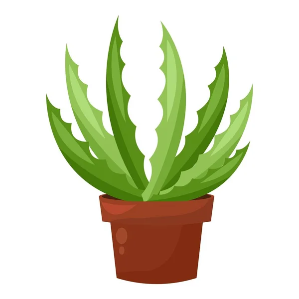 Olla de cactus verde, planta botánica de jardín casero, decoración de cactus — Vector de stock