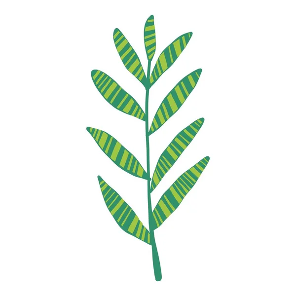 Ikona długiego liścia tropikalnego. Ikona wektora abstrakcyjnego kreskówki dla projektowania stron internetowych izolowane na białym tle — Wektor stockowy