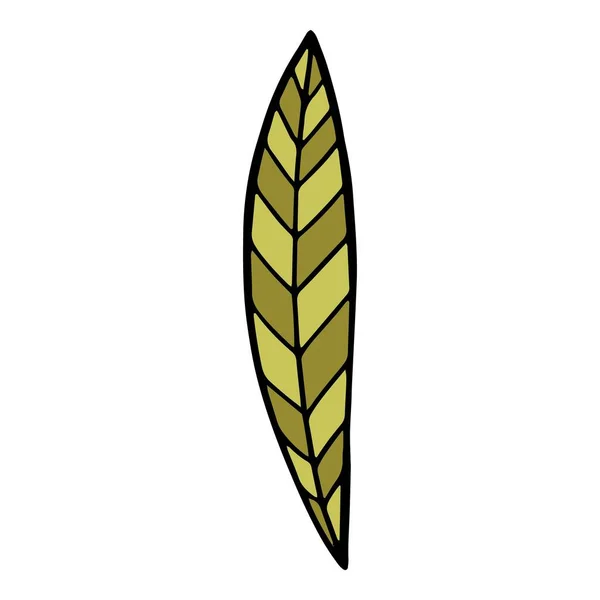 Иконка растения с длинным листом, ручной рисунок — стоковый вектор