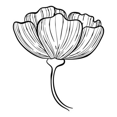 Botanik gül çiçeği ikonu, el çizimi tarzı